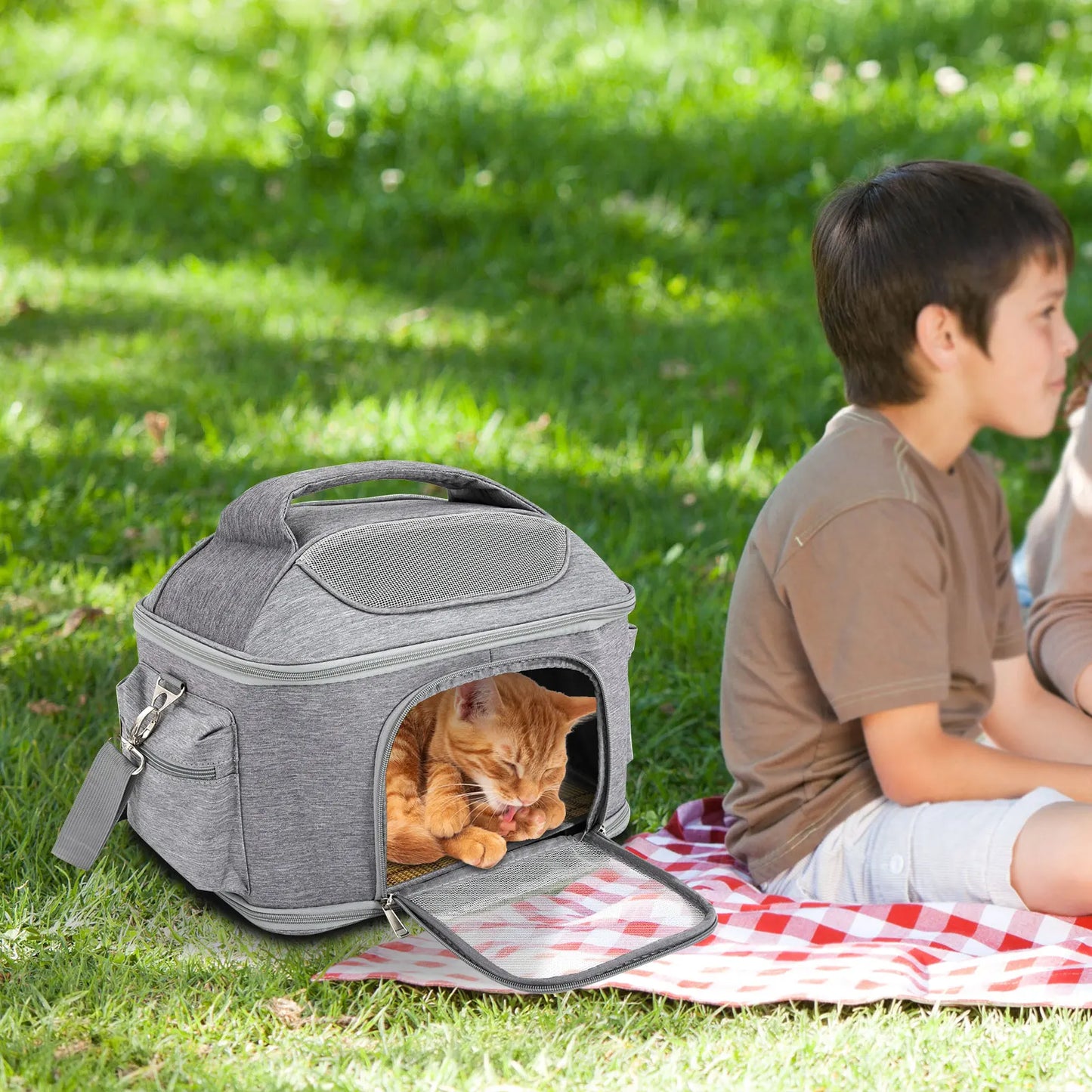 Breathable Pet Backpack For Dogs And Cats Foldable Airline Approved