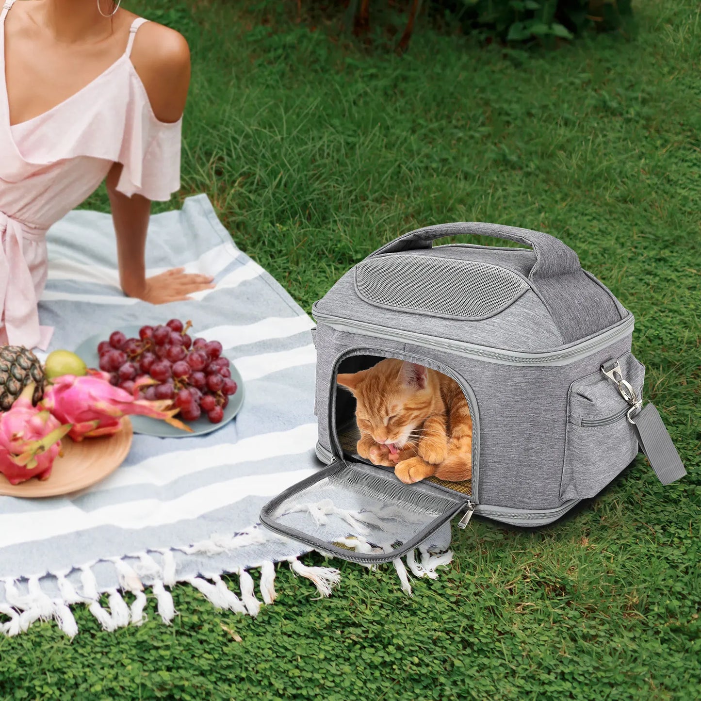 Breathable Pet Backpack For Dogs And Cats Foldable Airline Approved