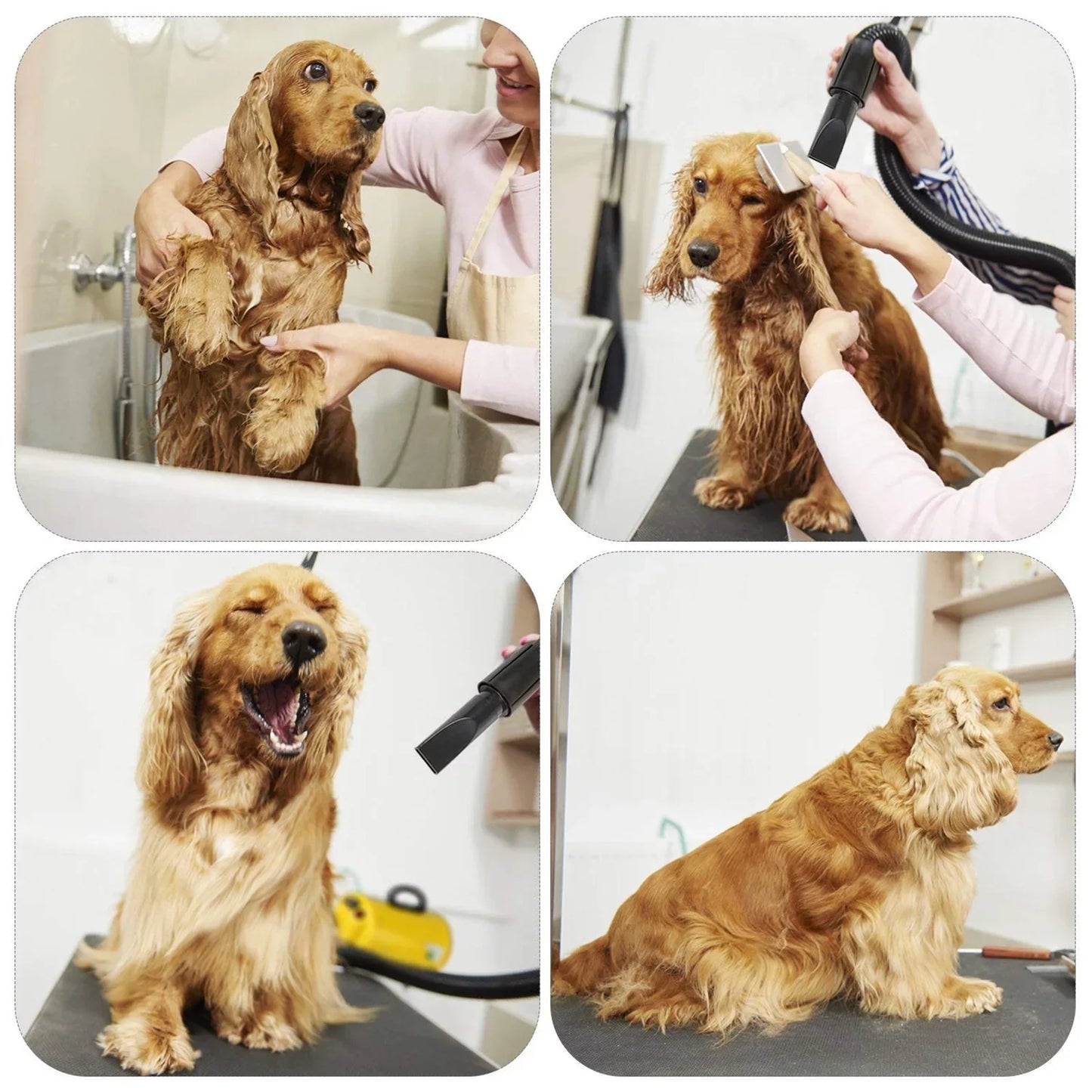 Dog Hair Dryer 2800W Grooming Blower For Large Dogs