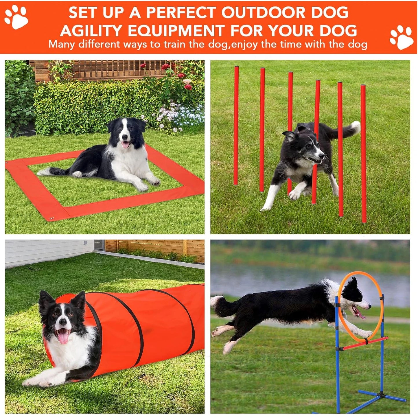 HiMIS Dog Agility Training Set Obstacle Course Kit