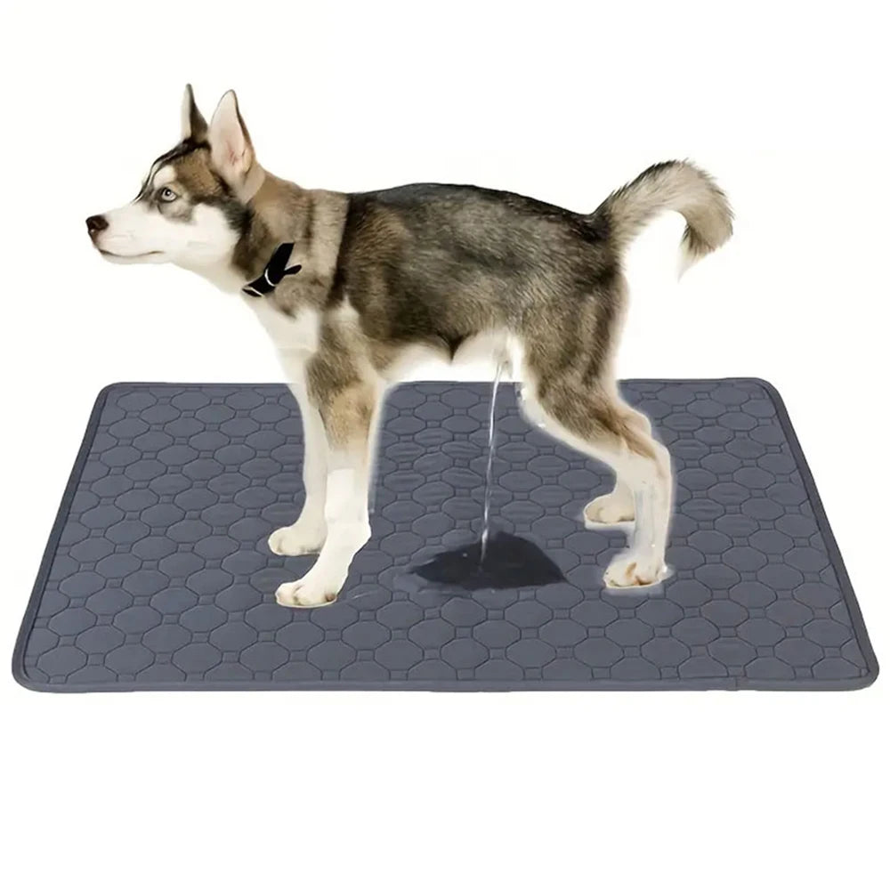 Winter Dog Pee Pad Reusable Urine Mat for Car Floor
