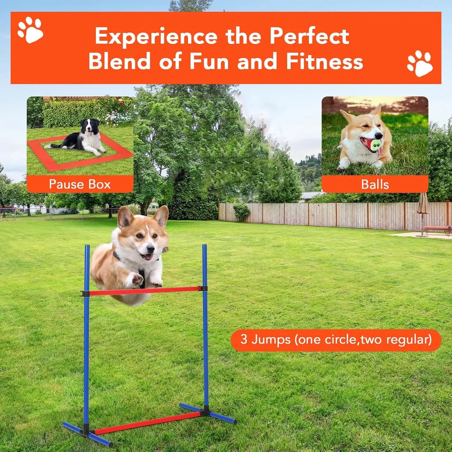 HiMIS Dog Agility Training Set Obstacle Course Kit